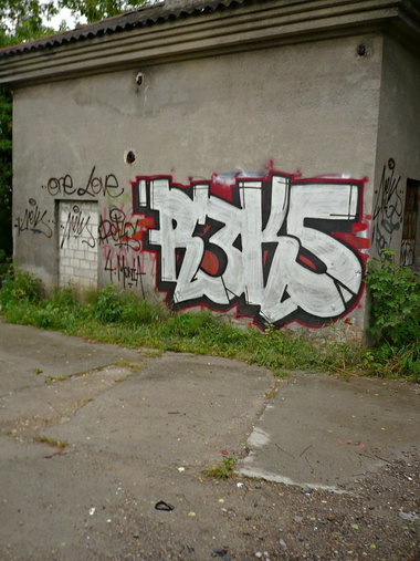 Graffiti Bombing - Photo by esceer