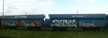 Graffiti Train - Photo by esceer - Reks, Sher, NBR