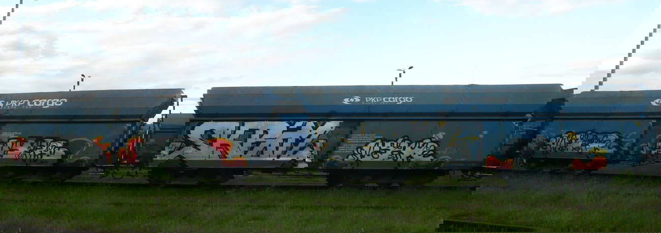 Graffiti Train - Photo by esceer - Reks, Sher, NBR