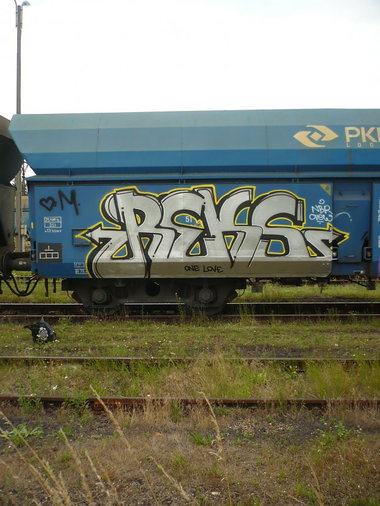 Graffiti Train - Photo by esceer