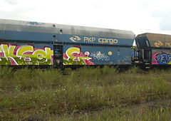 Photo #109926 by wise