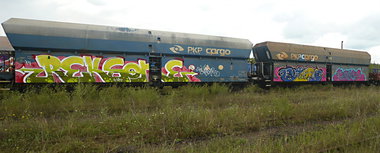 Graffiti Train - Photo by esceer - reks, sher, neighbours