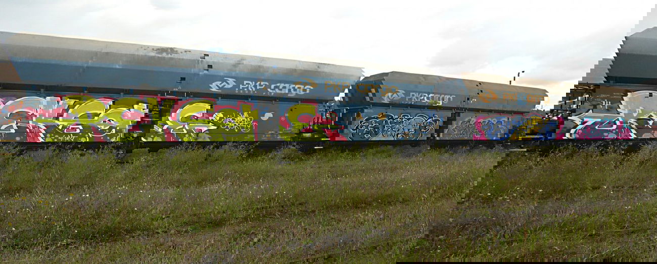 Graffiti Train - Photo by esceer - reks, sher, neighbours