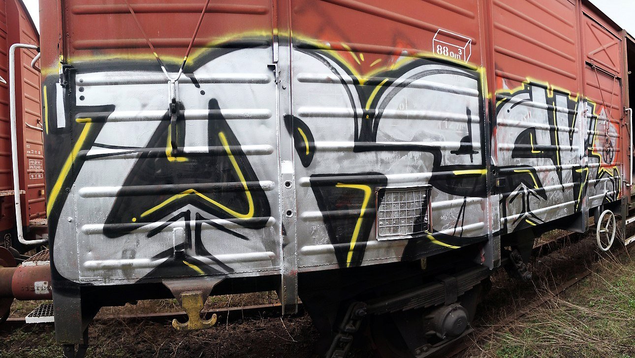 Graffiti Train - Photo by esceer