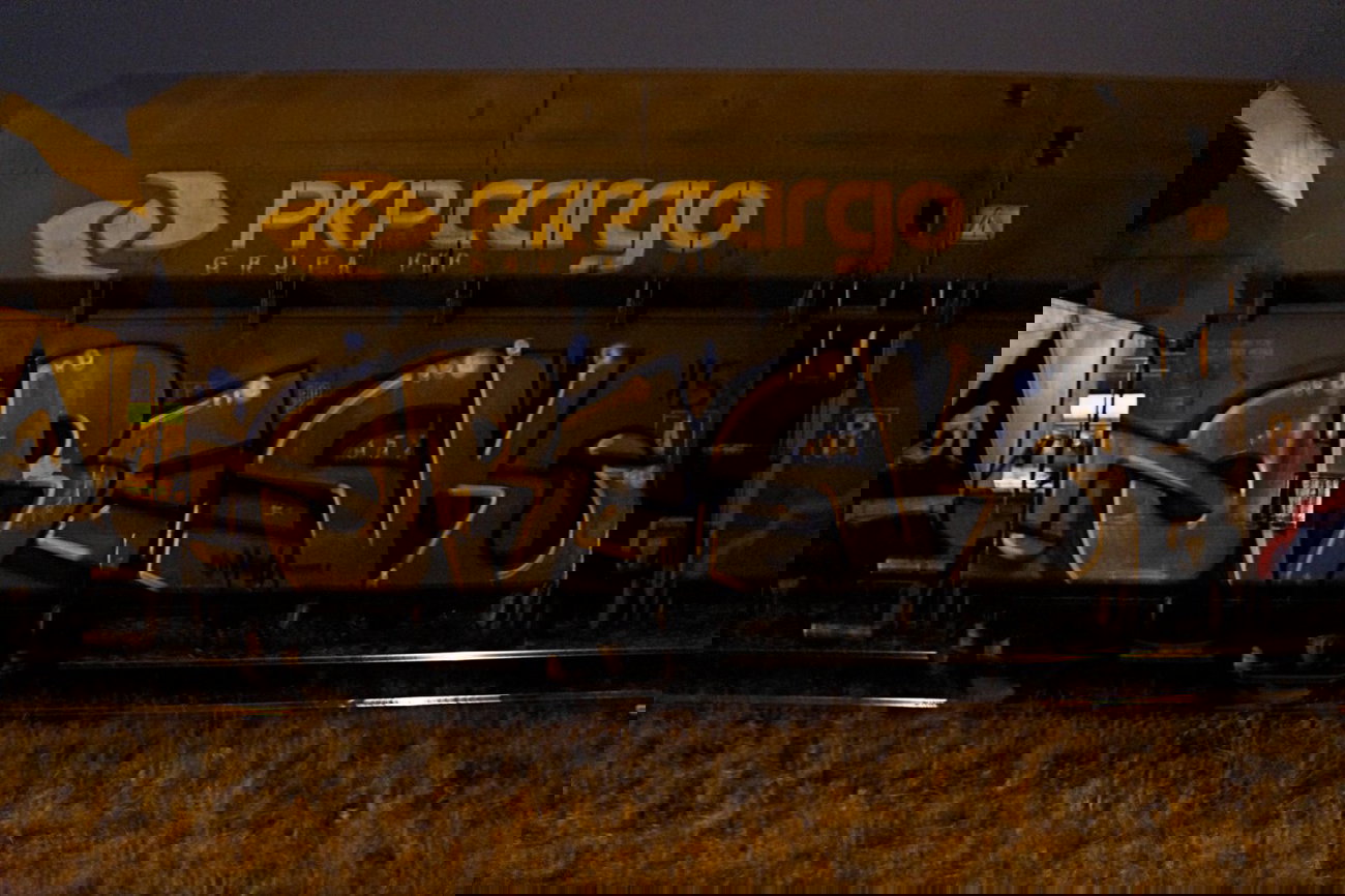 Graffiti Train - Photo by esceer - Reks, nbr