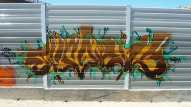 Graffiti Bombing - Photo by evil