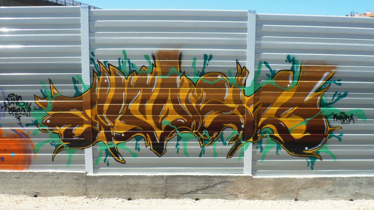 Graffiti Bombing - Photo by evil