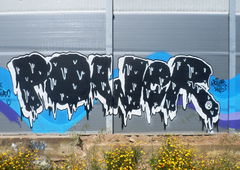 Graffiti Wall - Photo by evil