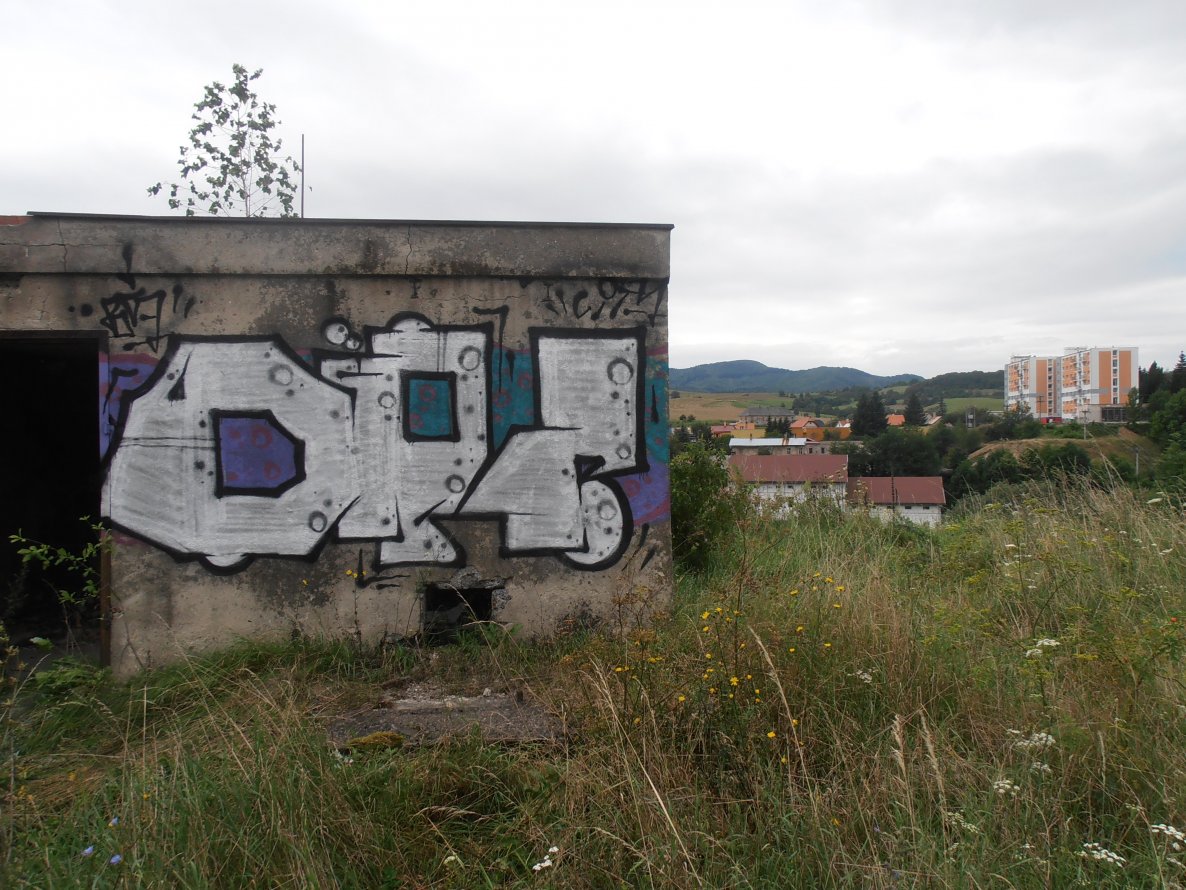 Graffiti Wall - Photo by fakju - Bcity, 2014