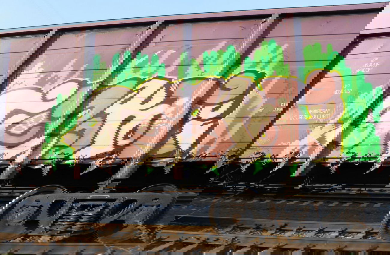Graffiti Train - Photo by fam1