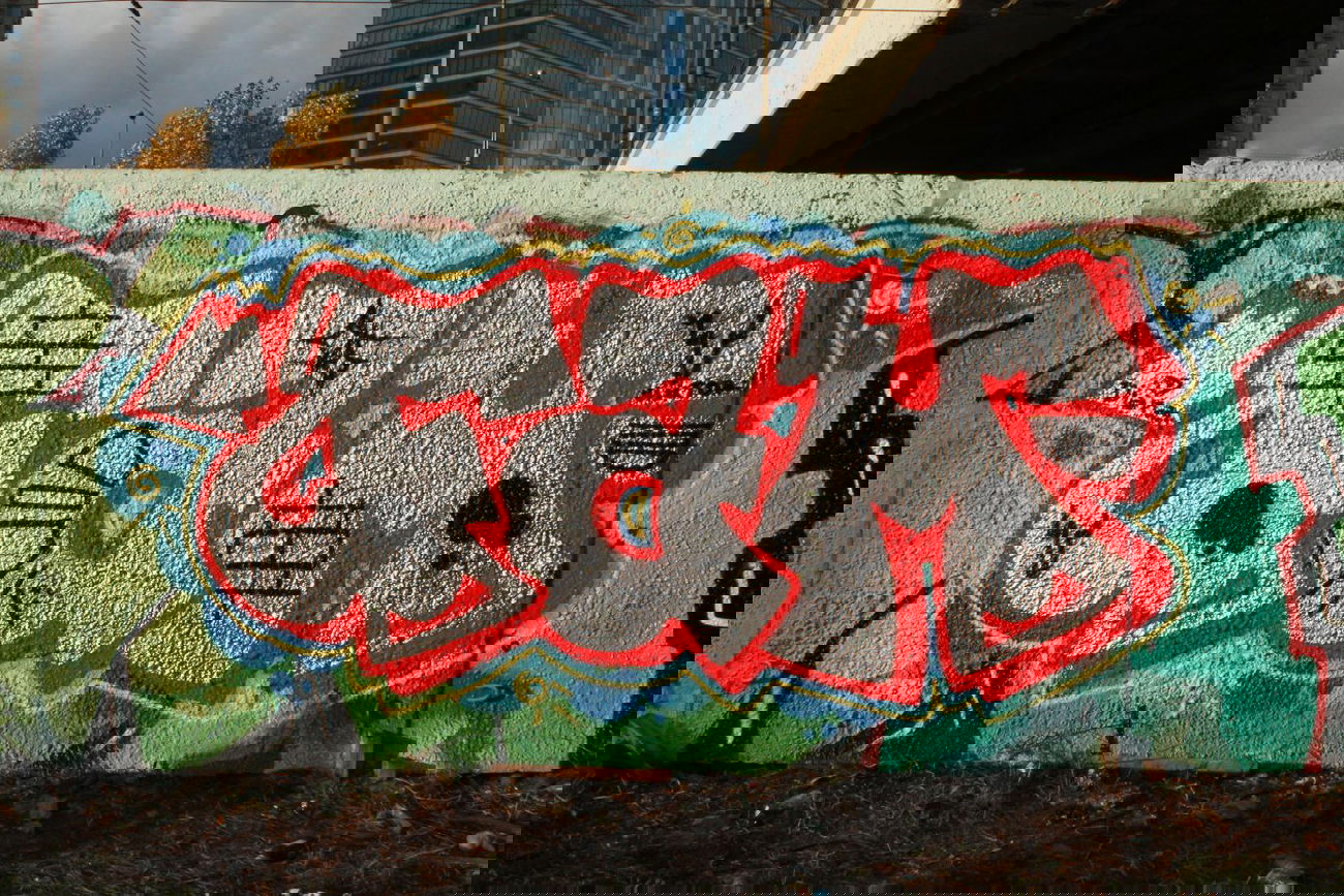 Graffiti Bombing in Moscow - Photo by fam1 - fam1 (2013)