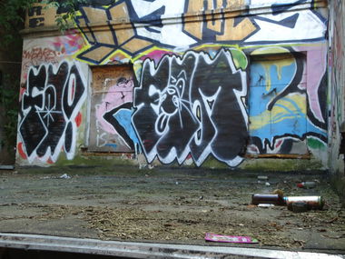 Graffiti Bombing - Photo by fam1 - fam1 (2013)
