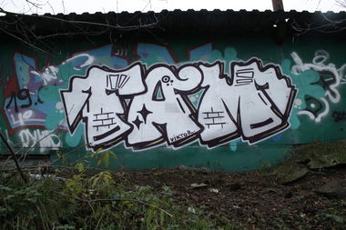 Graffiti Bombing in Moscow - Photo by fam1 - fam1 (2013)