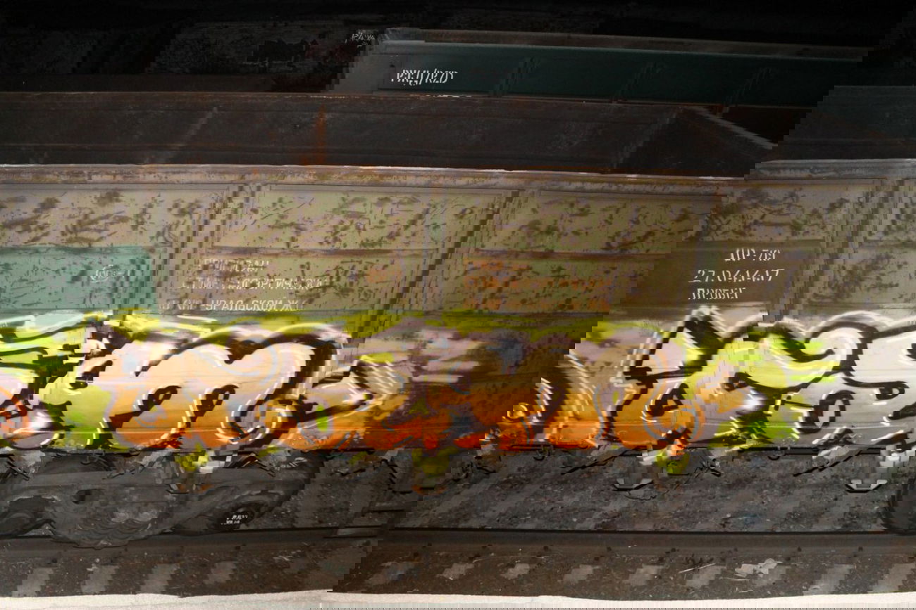 Graffiti Train - Photo by fam1