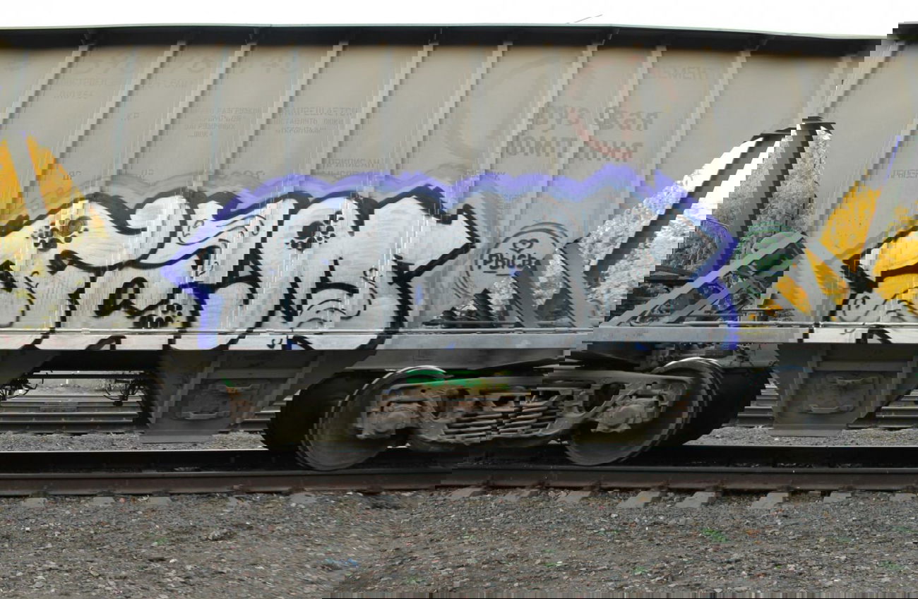 Graffiti Train - Photo by fam1