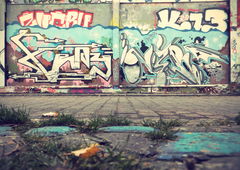 Photo #51046 by MENO