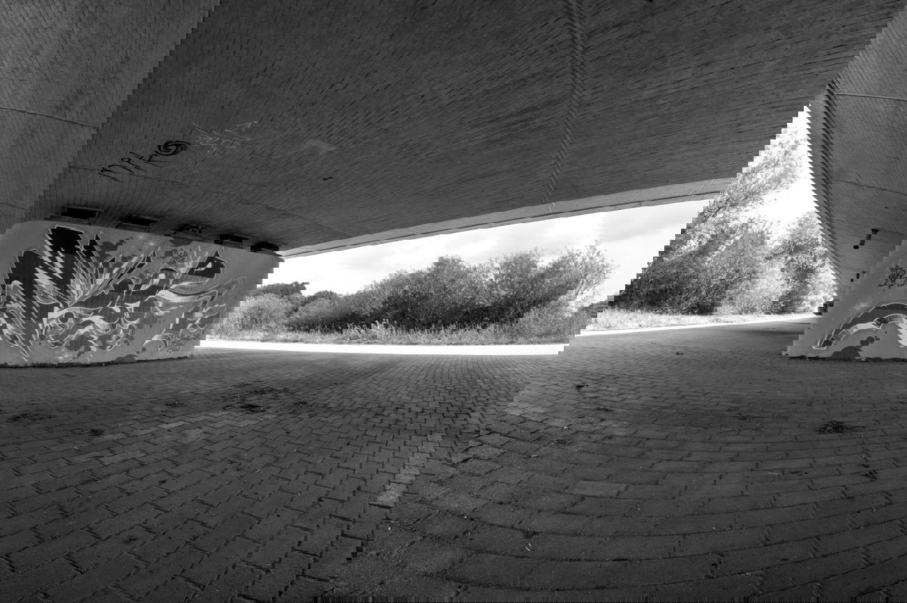 Graffiti Wall - Photo by farbschrift - zubr, pater, mofaboys (2014)