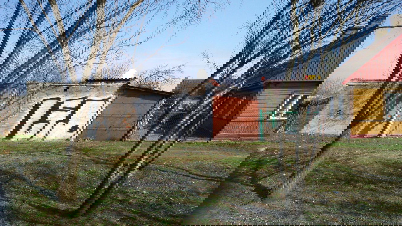 Graffiti Bombing - Photo by faryzeusz