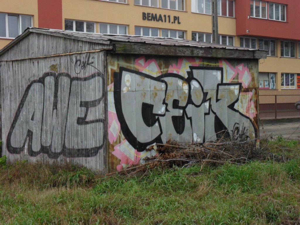 Graffiti Bombing - Photo by faryzeusz