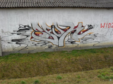 Graffiti Bombing - Photo by faryzeusz