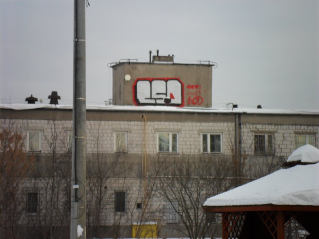 Graffiti Bombing - Photo by faryzeusz