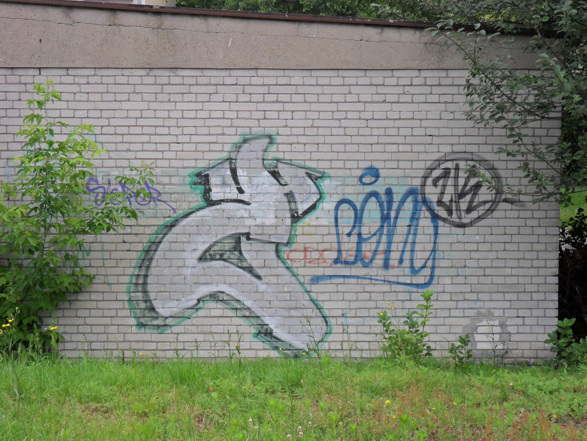 Graffiti Wall - Photo by faryzeusz