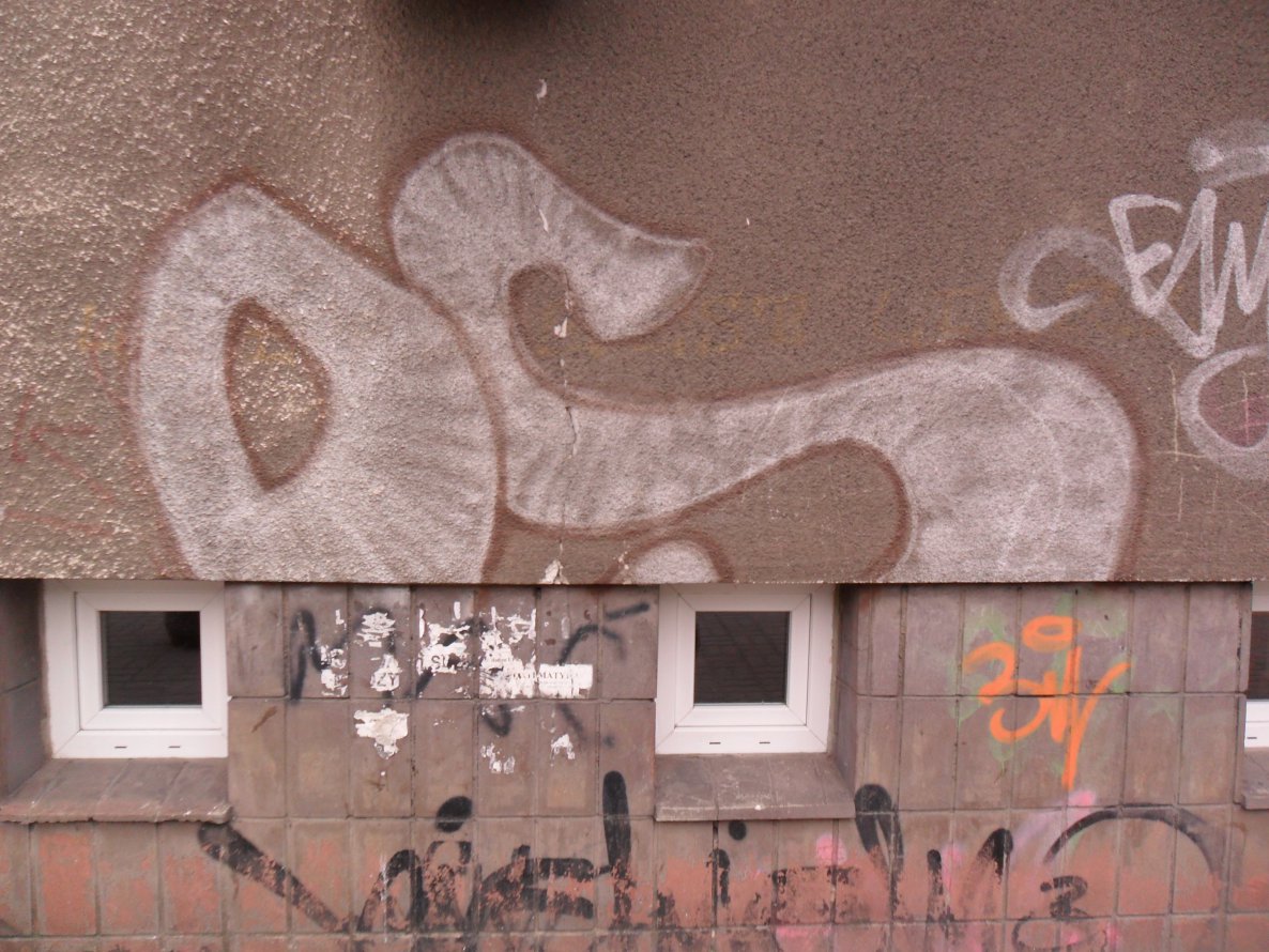 Graffiti Bombing - Photo by faryzeusz