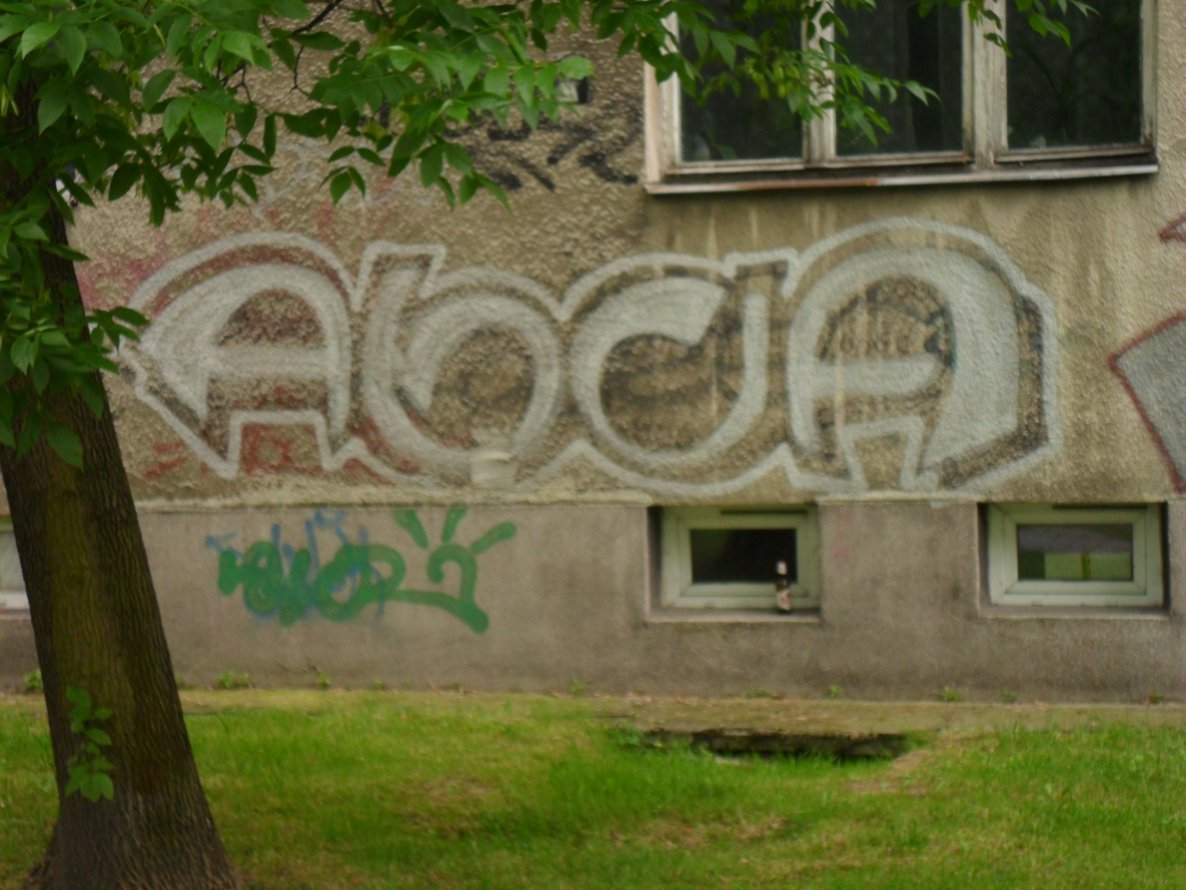 Graffiti Bombing - Photo by faryzeusz