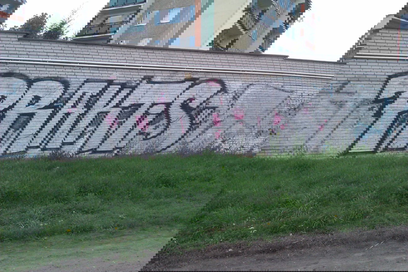 Graffiti Wall - Photo by faryzeusz