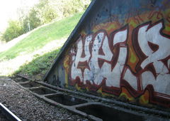 Photo #7226 by Waddap1