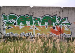 Photo #7228 by TISAK