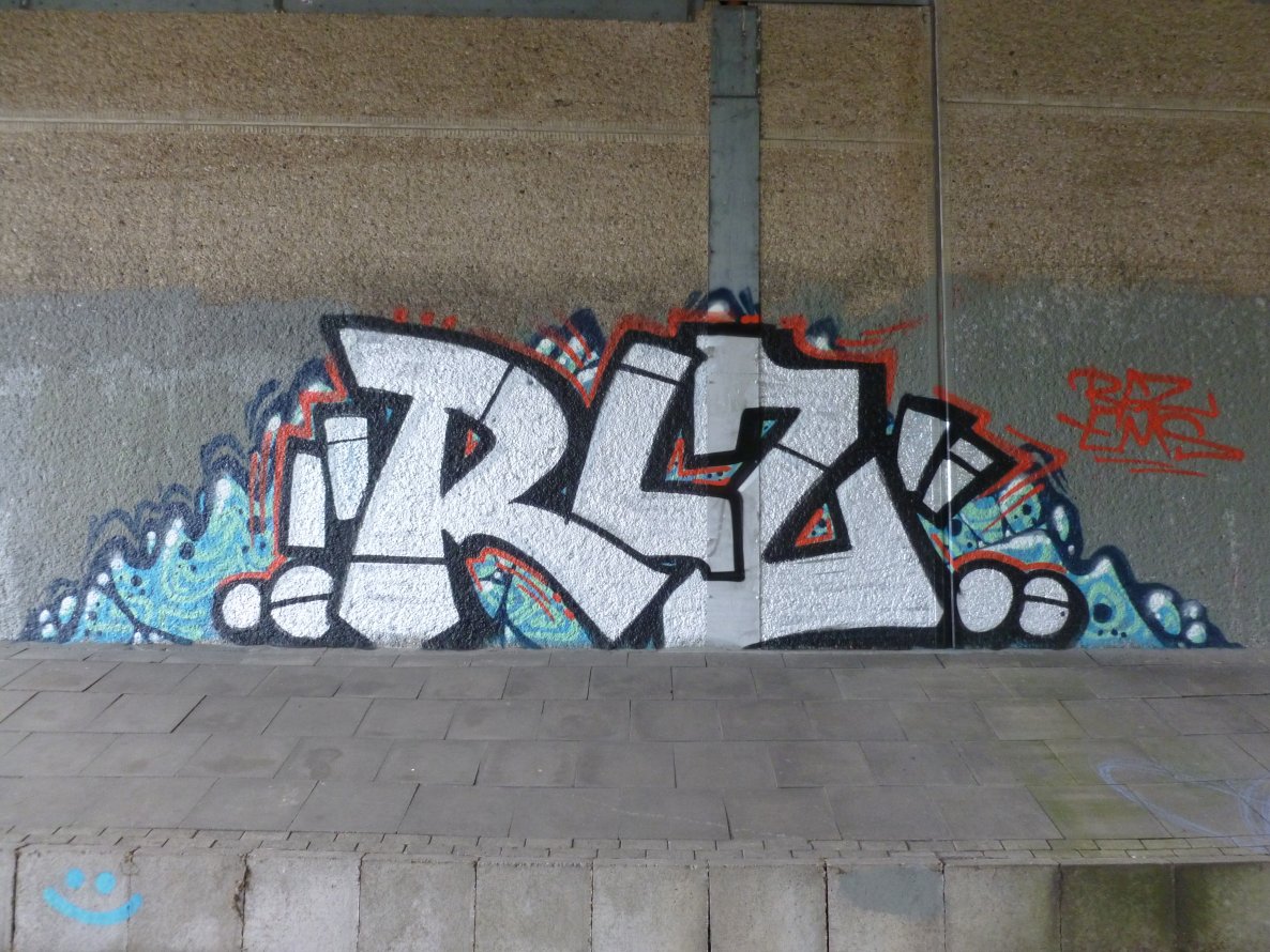 Graffiti Bombing - Photo by fineliner - RLZ, EMS, Oldenburg (2014)