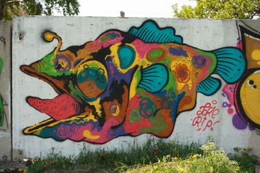 Graffiti Wall in Donetsk - Photo by fisher - ?????? (2013)