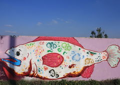 Photo #25527 by OFELIA