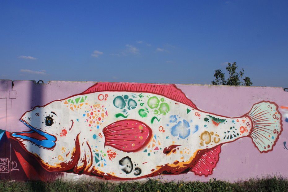 Graffiti Wall in Donetsk - Photo by fisher - ??????????????????