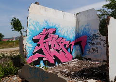 Photo #55223 by Skirmos