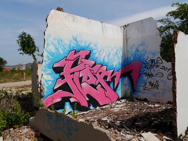 Graffiti Wall in Vietnam - Photo by flor76 - flor76 (2013)