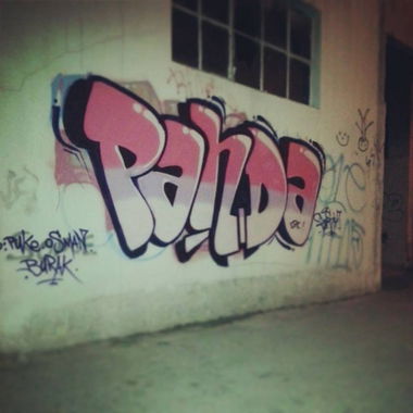 Graffiti Bombing - Photo by flush35 - panda, flush (2013)