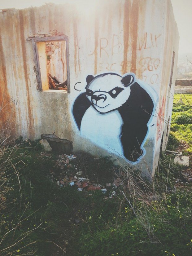 Graffiti Bombing in Izmir - Photo by flush35 - panda, flush, eacrew (2014)