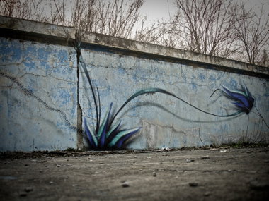Graffiti Wall - Photo by fnk