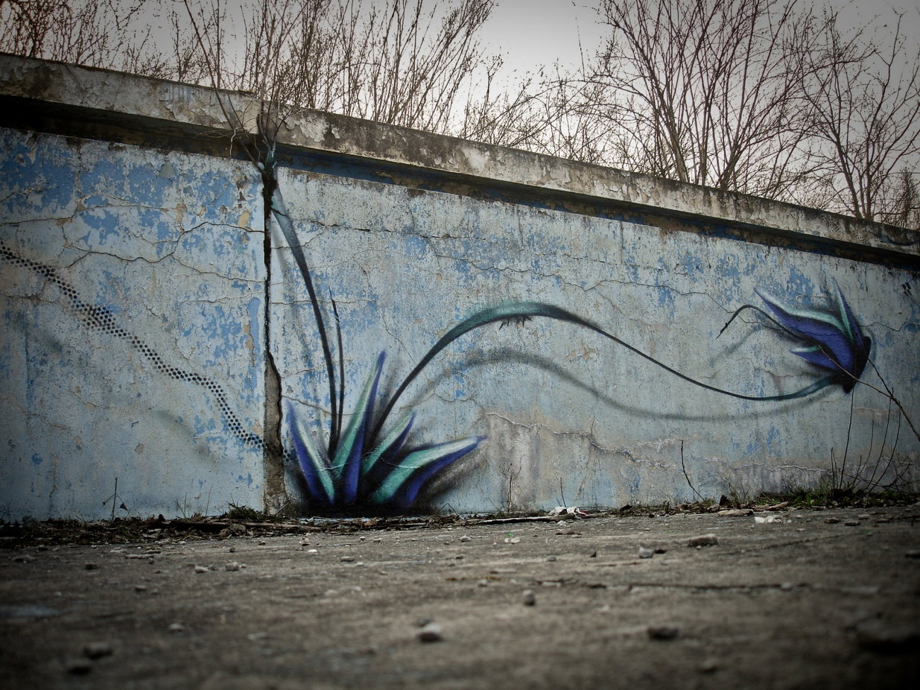 Graffiti Wall - Photo by fnk