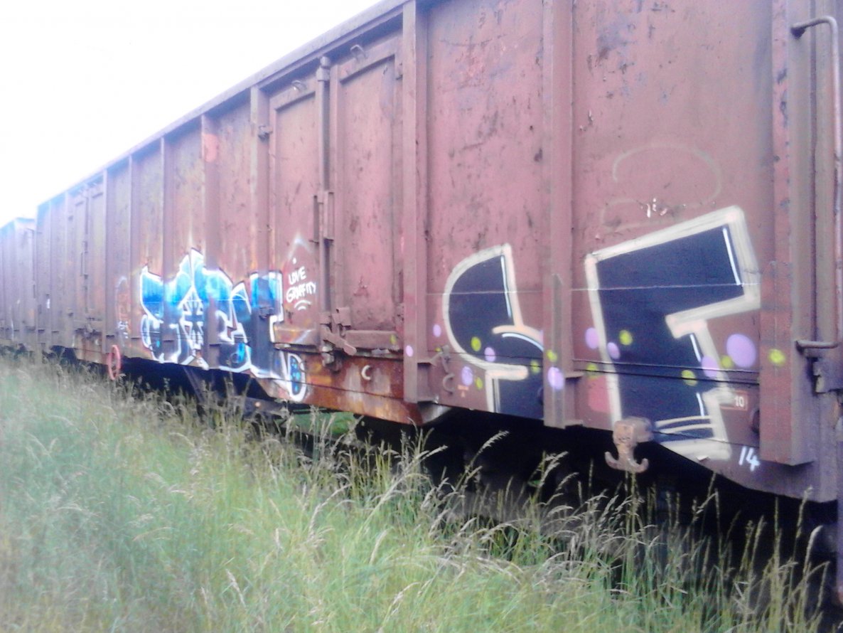 Graffiti Train - Photo by fotograff - sf, ew, sf (2014)