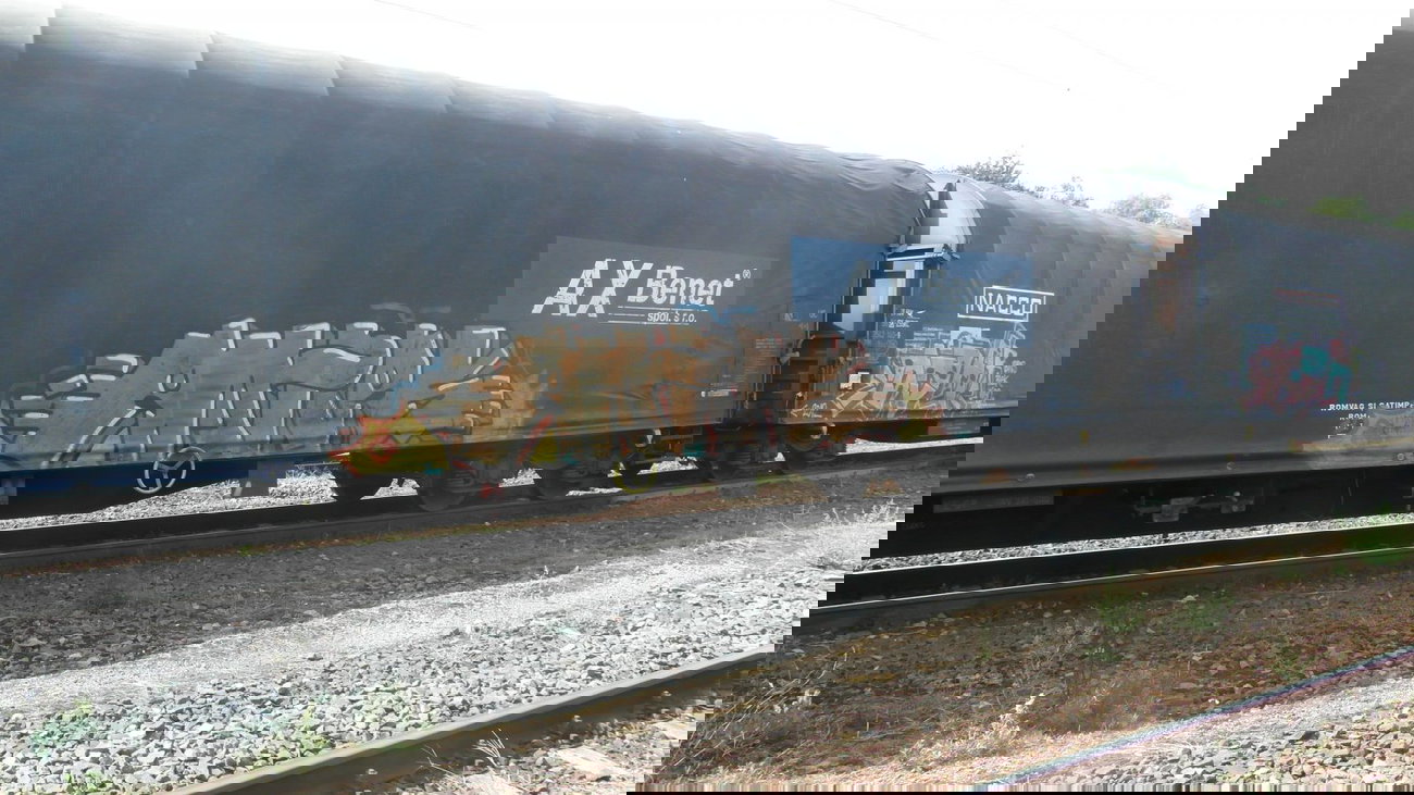 Graffiti Train - Photo by fr8pics - amras, fr8, freight