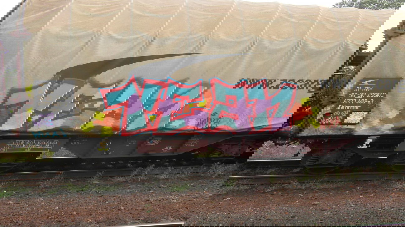 Graffiti Train - Photo by fr8pics - rean, fr8, freight