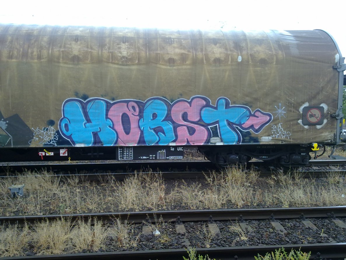 Graffiti Train - Photo by fr8pics - horst