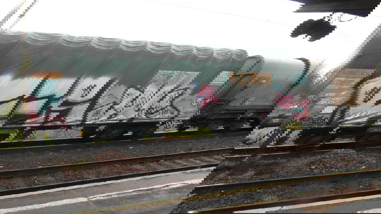 Graffiti Train - Photo by fr8pics - fes, ac, fr8
