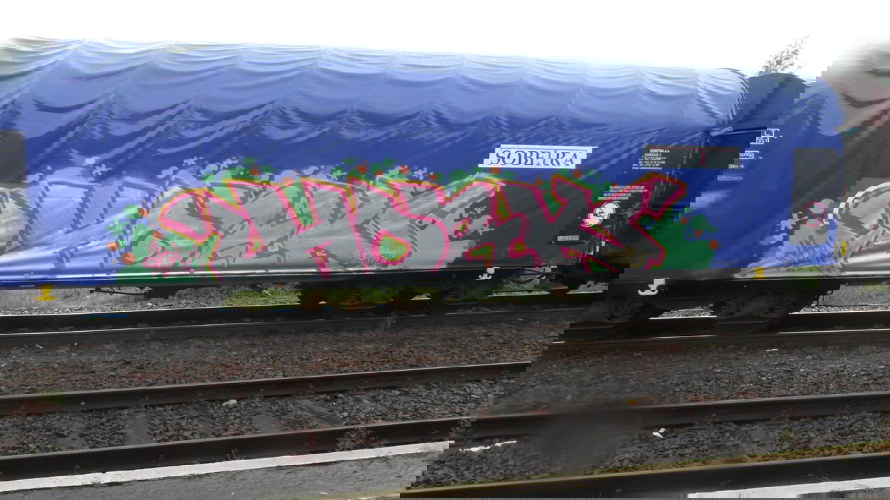 Graffiti Train - Photo by fr8pics - hork, fr8, poland