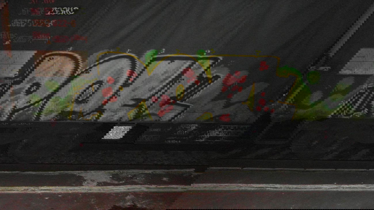 Graffiti Train - Photo by fr8pics - poel, fr8, freight