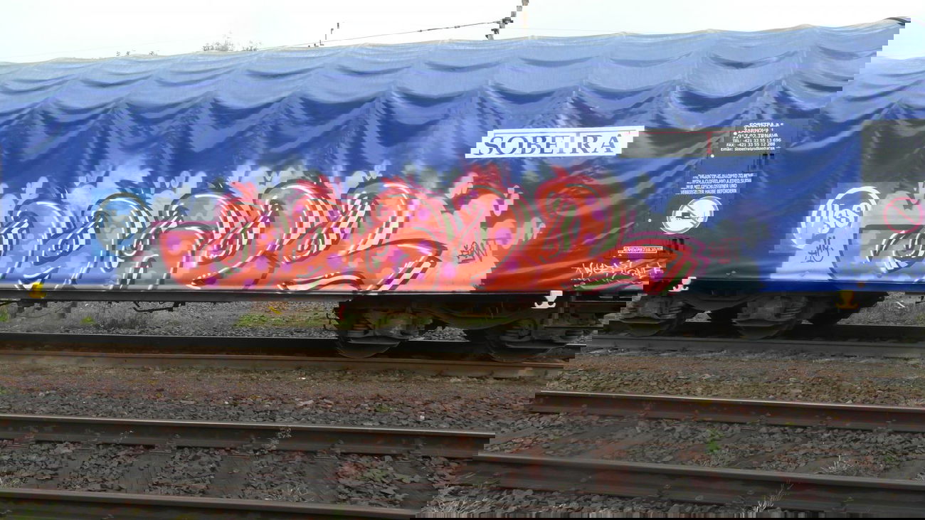 Graffiti Train - Photo by fr8pics - dazer, fr8