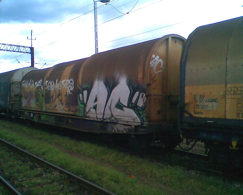 Graffiti Train - Photo by fr8pics - ac